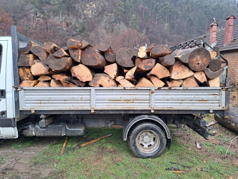 FOTO Polițiștii au dat zeci de amenzi în Gura Râului și Cristian pentru transporturi ilegale de lemne