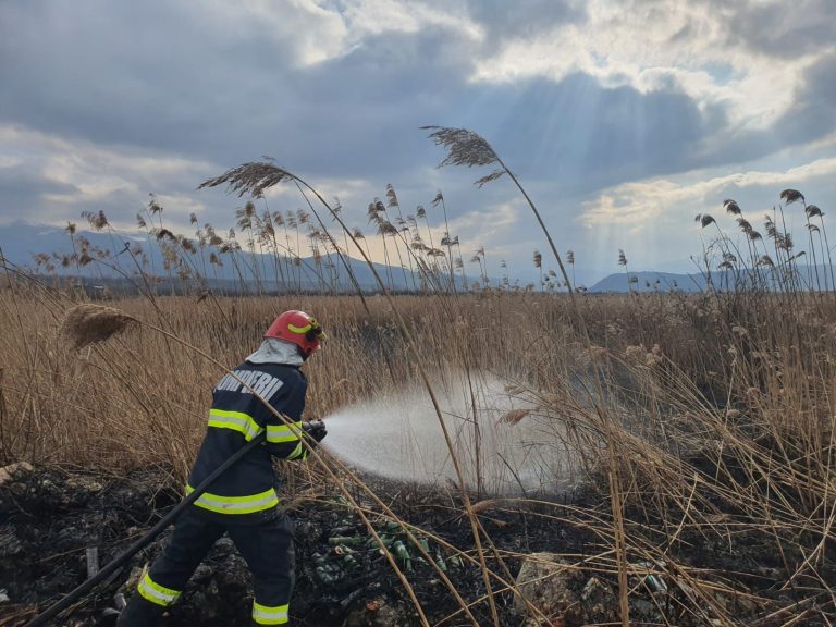 FOTO Incendiile de vegetație au revenit în forță, în Sibiu
