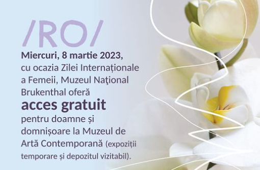 Intrare gratuită la Muzeul de Artă Contemporană de 8 martie pentru doamne și domnișoare