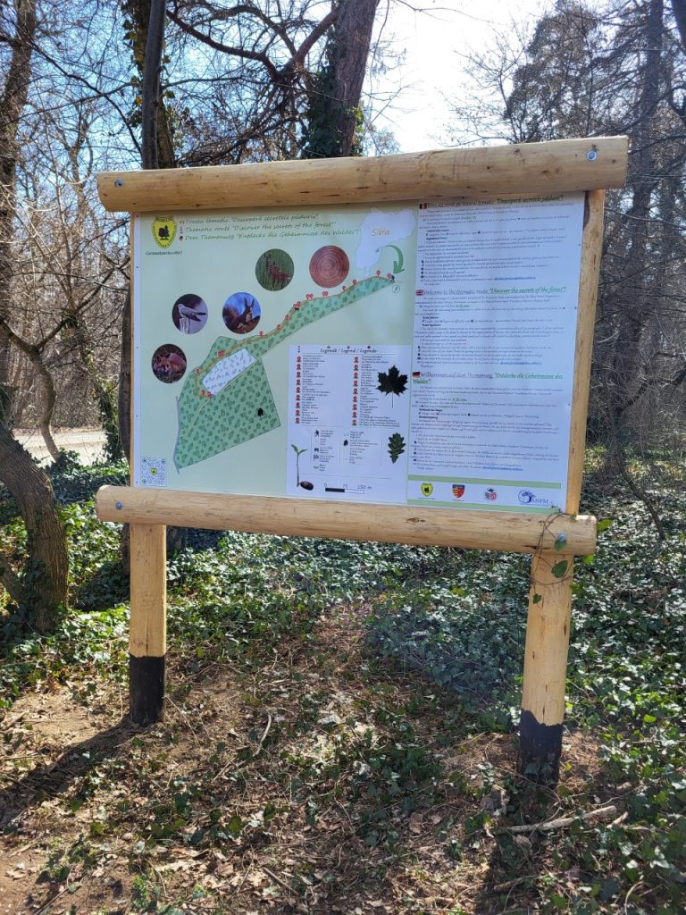 ”Descoperă secretele pădurii” în Rezervația Naturală ”Parcul Natural Dumbrava Sibiului”