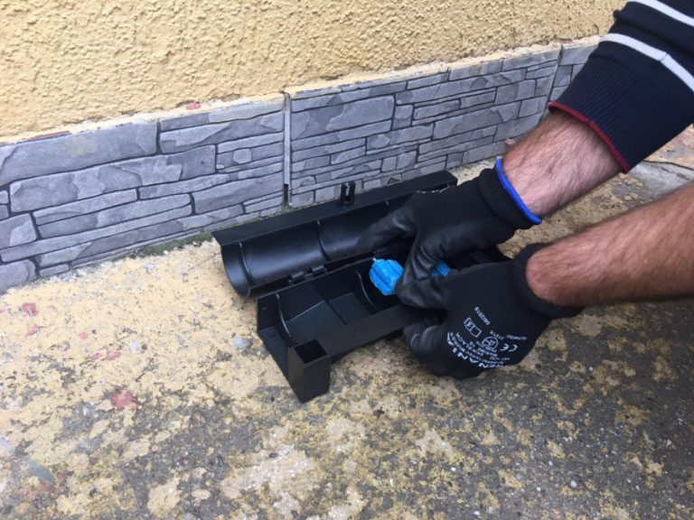 Grijă sporită la copii și animale săptămâna viitoare! Primăria deratizează domeniul public