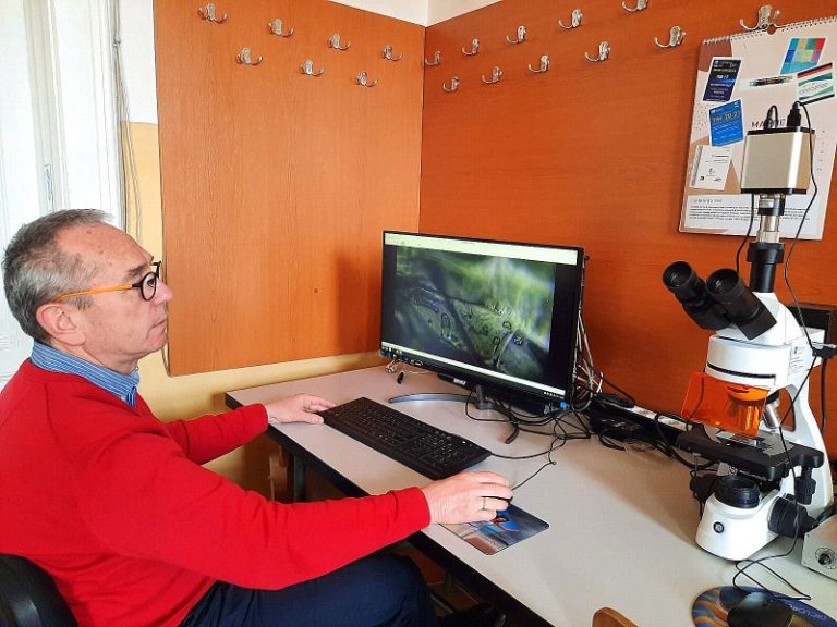 La Sibiu, nanoparticule utilizate în compoziţia medicamentelor