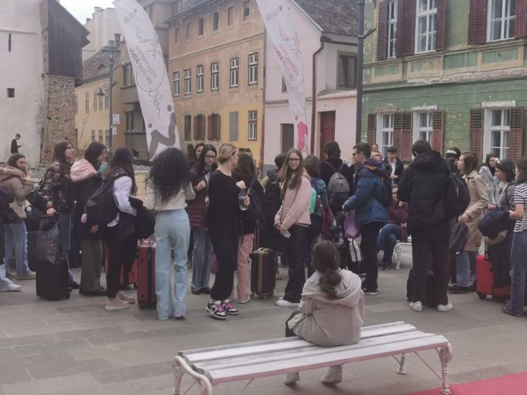 Olimpiada de Limba și Literatura Română a ajuns la epilog