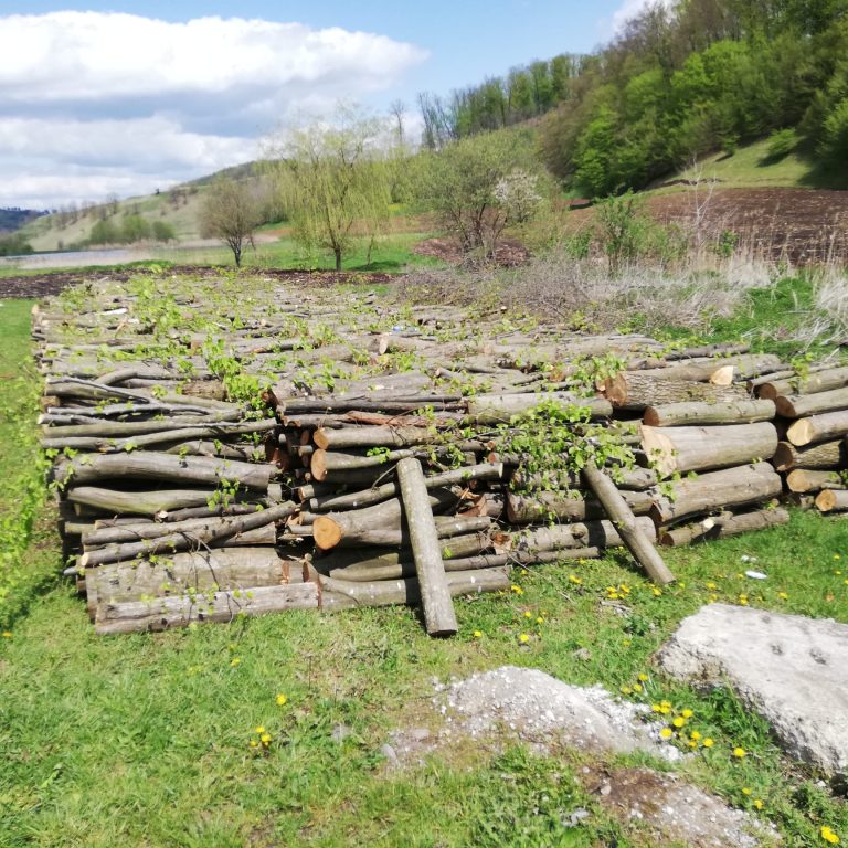 FOTO Peste 130 de metri cubi de lemn, confiscați de polițiști