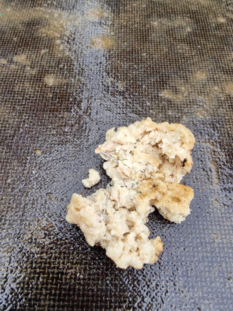 Poliția Animalelor Sibiu caută persoana care a pus carne cu ace în parcul pentru animalele de companie