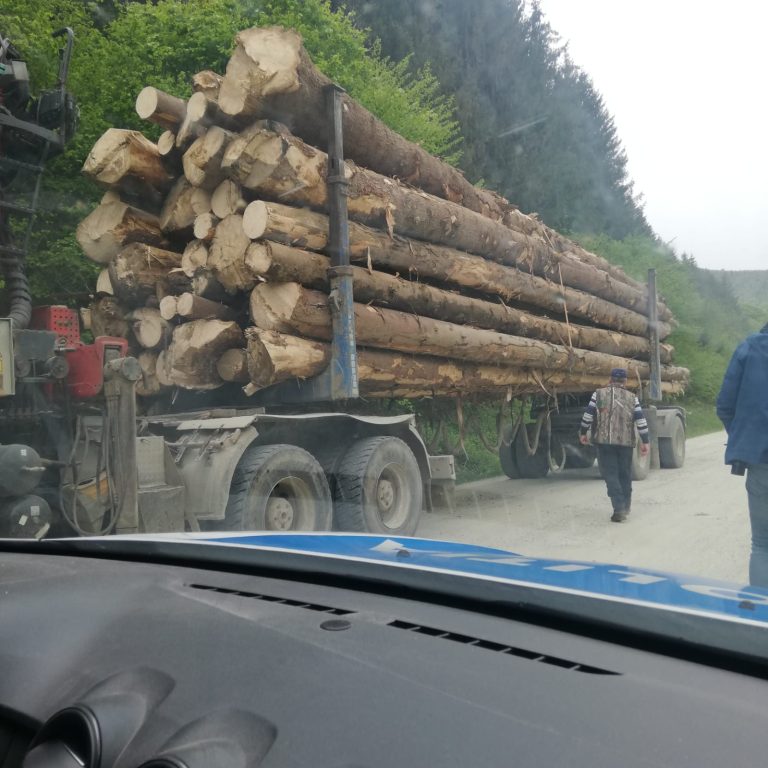 FOTO Mai multe persoane și firme au fost amendate cu zeci de mii de lei pentru expedierea de lemne fără documente