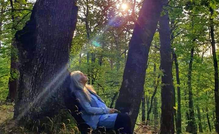 Energia copacilor vă poate vindeca de diferite afecțiuni!