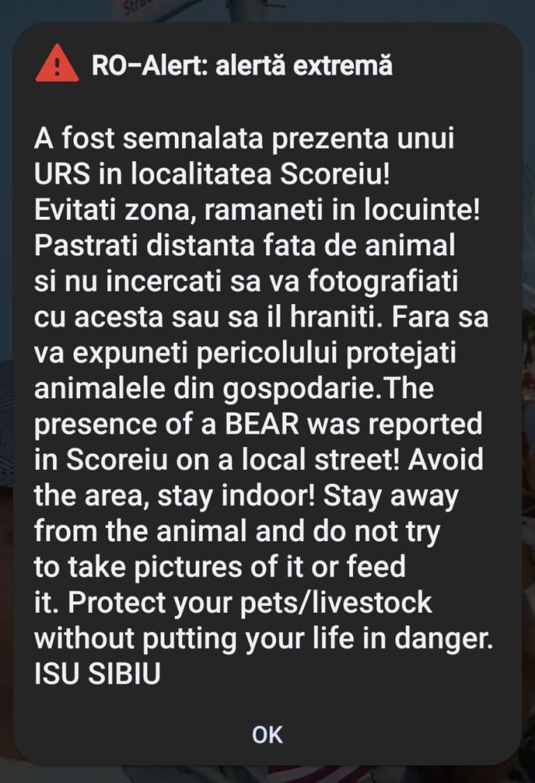 Mesaj RO-ALERT despre prezența a 2 urși în două localități din județul Sibiu