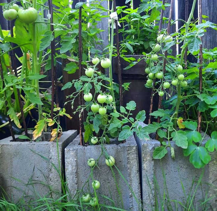 Grădină urbană, cum să creați un colț de natură în balcon