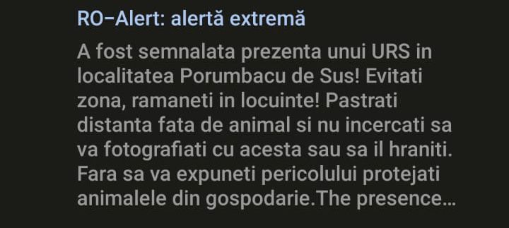 Mesaj RO-Alert care anunță prezența unui urs la Porumbacu de Sus