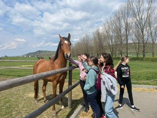 Zorabia invită toți copiii la “Summer Camp Zorabia 2023”, un eveniment de neratat în această vară!