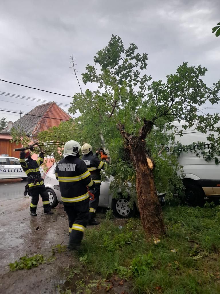 FOTO: Crengile unui copac au căzut peste două mașini, în Agnita