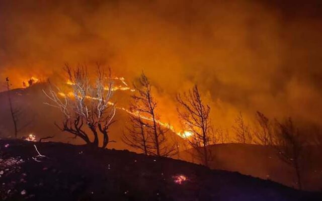 Turiștii evacuați din Rodos din cauza incendiilor vor primi o săptămână de vacanță gratuită în Grecia