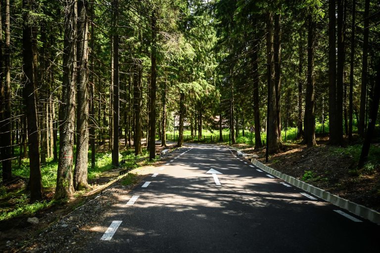 RAPORTOR LOCAL. Păltiniș. Când privații fac mai mult decât administrația locală incapabilă    