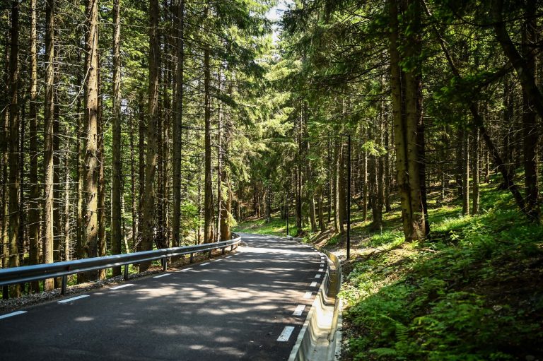 Prefectura Sibiu vrea să facă legea în Păltiniș