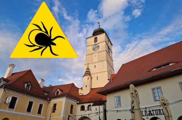 Sibiul, fruntaș la cazurile Lyme și înțepăturile de căpușe