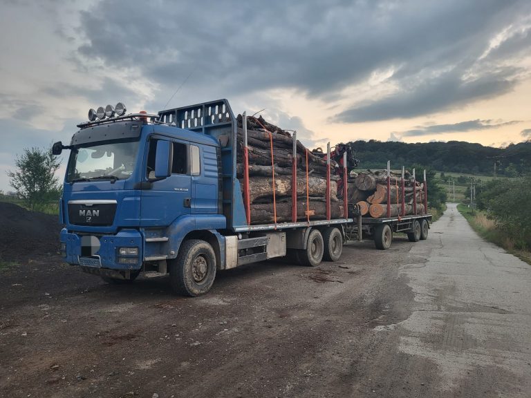 FOTO: Polițiștii au confiscat zeci de metri cubi de lemne și două autocamioane