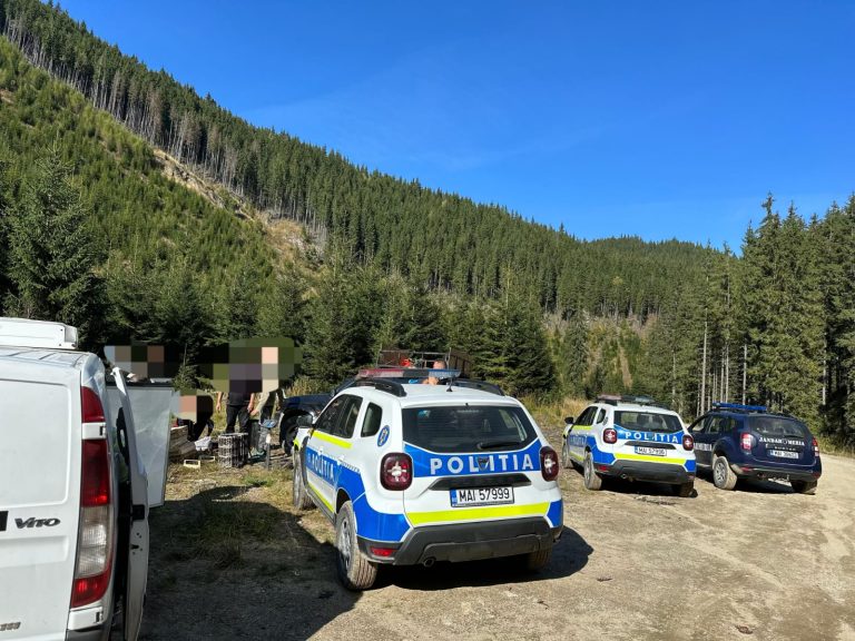 FOTO/VIDEO: Amenzi de mii de lei pentru persoane care culegeau afine, ciuperci și coacăze