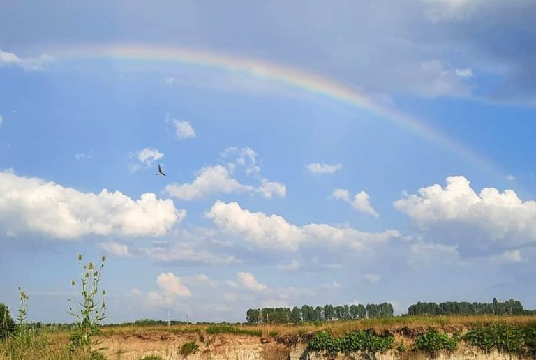 Dezvoltarea sustenabilă – Fata Morgana zilelor noastre