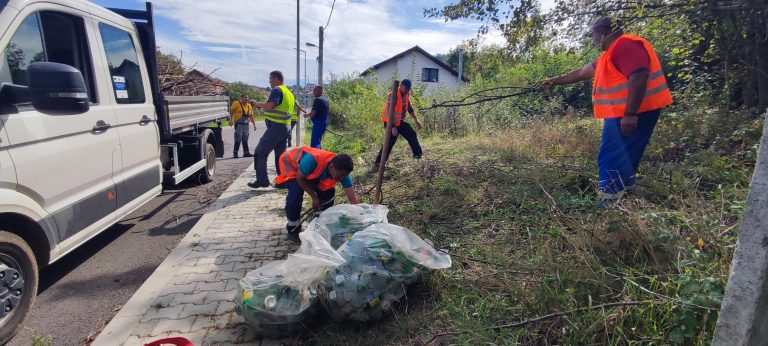 FOTO: Mediaș did it again. Peste 4 tone de deșeuri strânse la campania „Let’s do it, Mediaș”