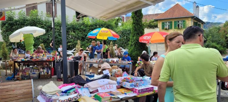 Bazar caritabil în weekend pentru Fundația Polisano