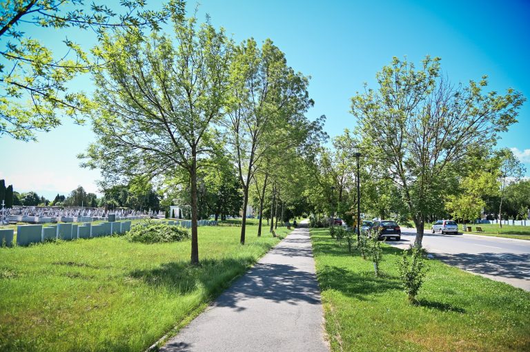 Primăria Sibiu anunță reabilitarea a încă șase alei din Cimitirul Municipal
