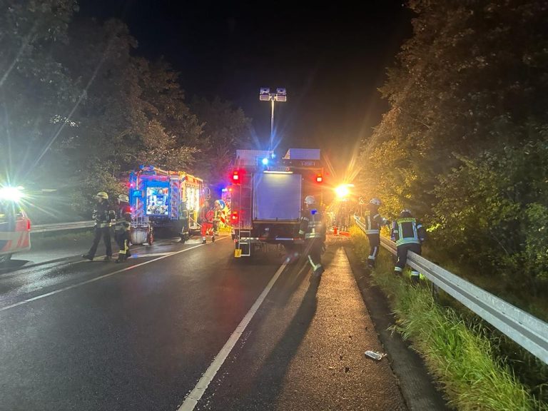 FOTO: Doi tineri din Mediaș, de 24 și 16 ani, au murit într-un groaznic accident rutier în Germania