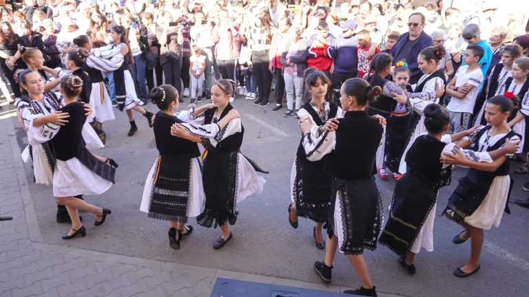 Consiliul Județean a împărțit banii pentru agendele județului