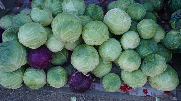 FOTO: Varza a fost vedeta festivalului de la Moșna