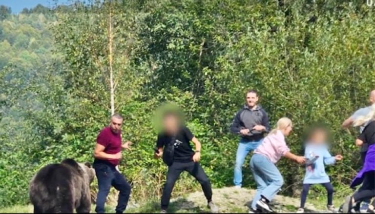 FOTO: Mai mulți turiști, printre care și copii, s-au oprit să-și facă selfie și să hrănească un urs, pe Transfăgărășan. Au fost la un pas să fie sfâșiați