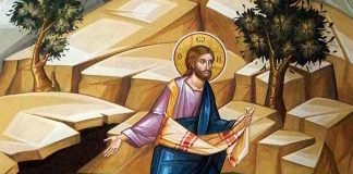 Pr. Constantin Necula. „Ieșit-a Semănătorul să semene…” (Luca 8. 5-15)