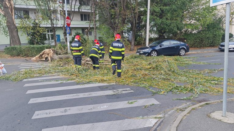FOTO: Intersecție din Sibiu blocată complet din cauza unui copac căzut pe carosabil / Traficul s-a reluat