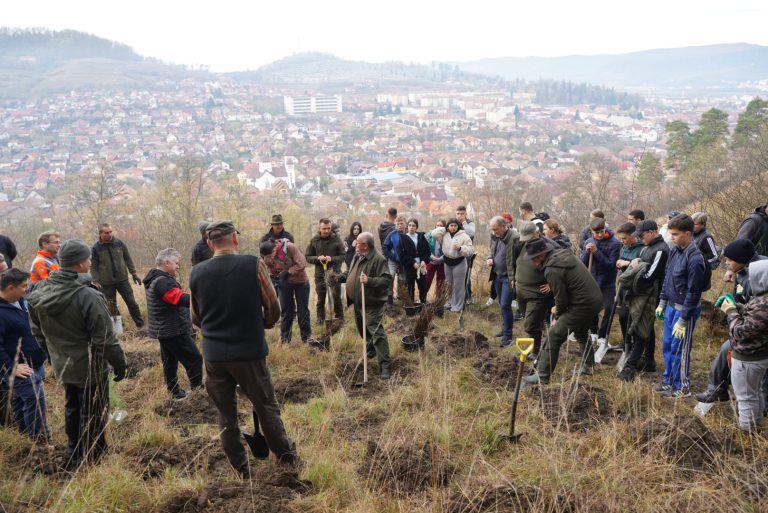 FOTO: 1.000 de puieți plantați la Mediaș