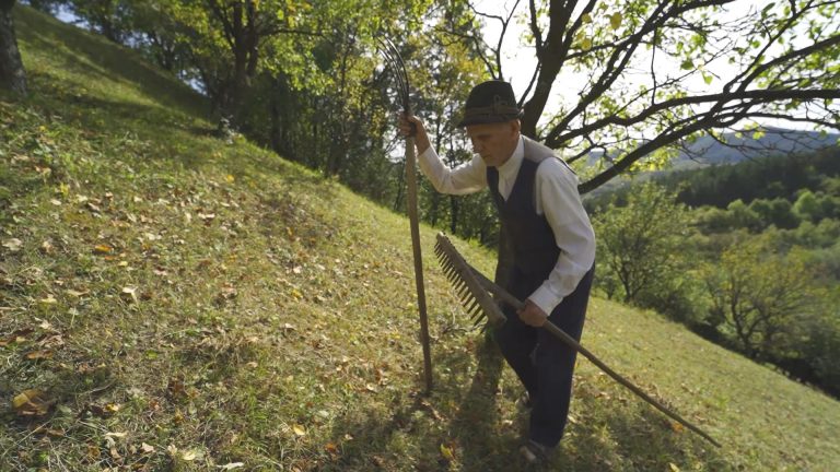 Într-un sat din România mulți oameni trăiesc neobișnuit de mult. Secretul longevității în „blue zone”