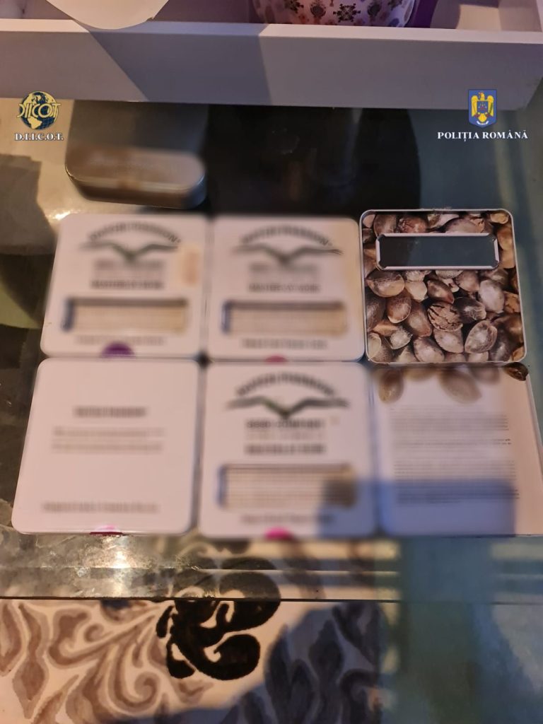 FOTO/VIDEO: 3 traficanți de droguri sibieni, ridicați de Poliție
