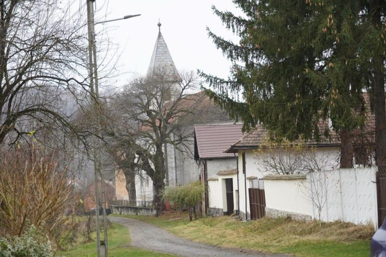 FOTO: Un sfert dintre locuitorii unui sat din Sibiu sunt profesori universitari