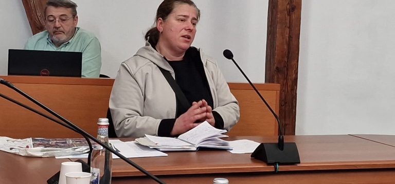 O sibiancă cere referendum local pentru urbanism
