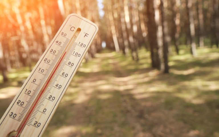 Temperaturi de 10 grade în următoarele două săptămâni