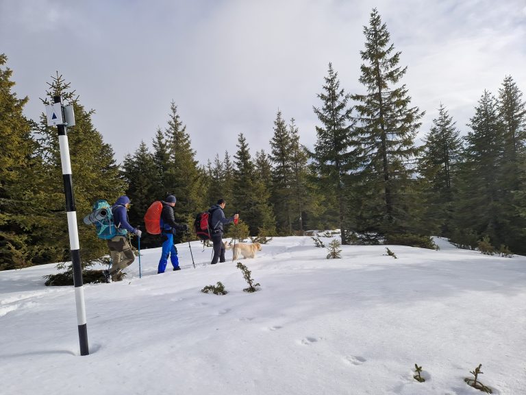 Drumeții de iarnă: Sfaturi esențiale și echipament recomandat pentru experiențe sigure și confortabile