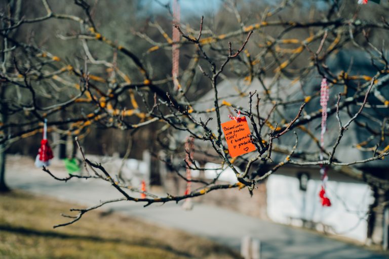 Ai un gând frumos? Hai cu el la „Pomul gândurilor bune” în Muzeul Astra