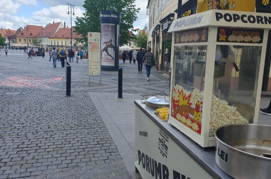 Începe o nouă procedură pentru atribuirea spațiilor pentru comerț stradal de pe str. N. Bălcescu