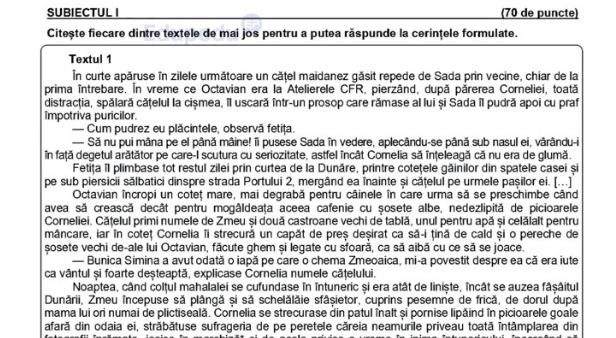 Ce subiecte au primit elevii la simularea probei de Limba și literatura română
