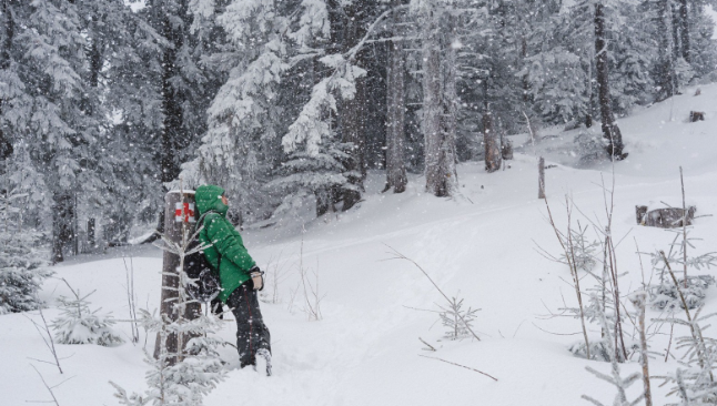 Dragobete la înălțime: Căsătorie de o zi și afinată la Cabana Bârcaciu
