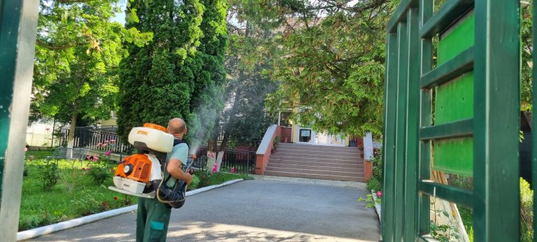 De joi începe prima campanie de dezinsecție în Sibiu