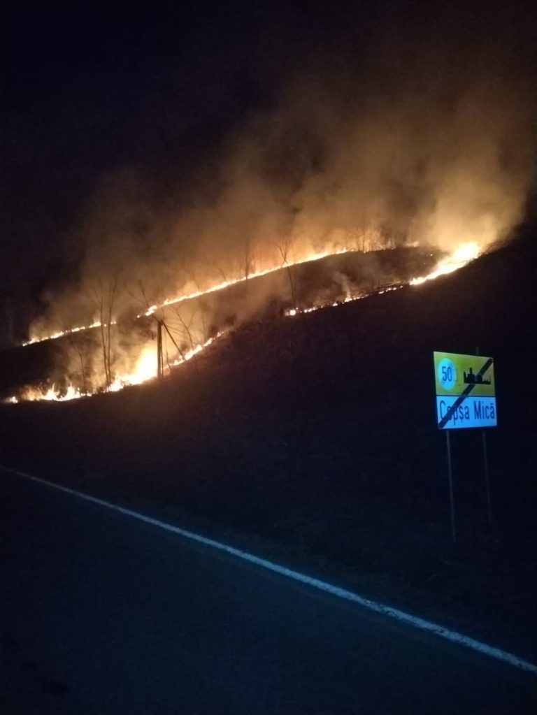 FOTO: „Există indivizi piromani care pun foc intenționat”. Avertisment în privința incendiilor de vegetație