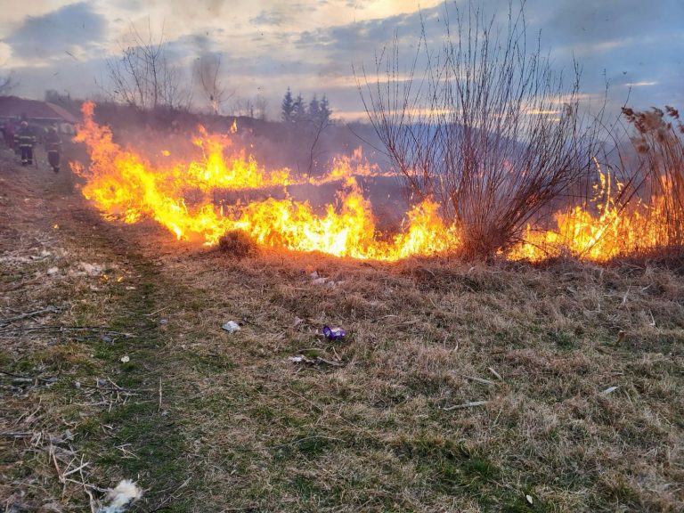 Incendii de vegetație în 10 localități din județul Sibiu, în weekend