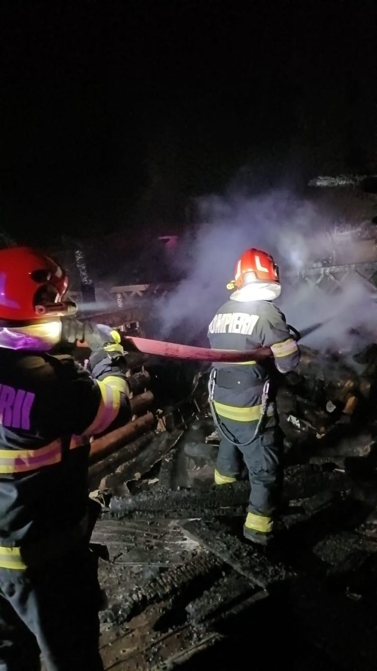 FOTO: Animale moarte în urma unui incendiu izbucnit la o anexă