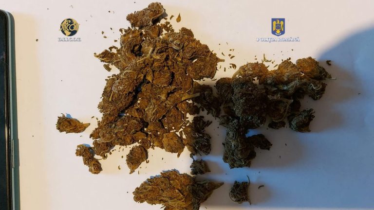 ULTIMA ORĂ/FOTO: Două persoane, reținute pentru trafic de droguri de risc și mare risc în județul Sibiu