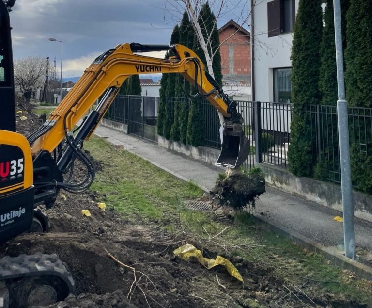 FOTO: Copaci transplantați de pe o stradă din Sibiu. Artera a intrat în lucrări de modernizare
