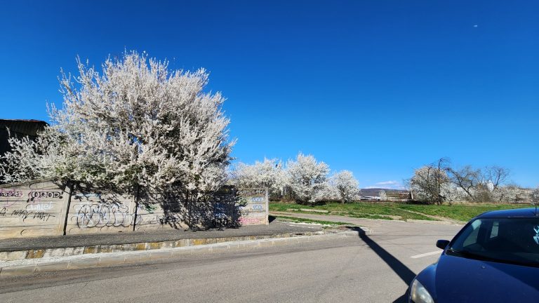 După câteva dimineți foarte friguroase vin temperaturile de vară